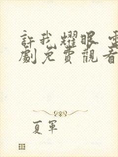 许我耀眼 电视剧免费观看全集