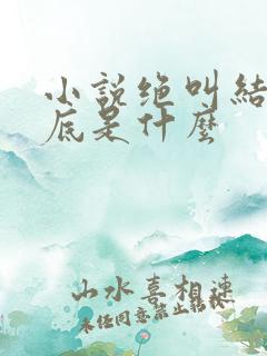 小说绝叫结局到底是什么