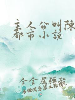 主人公叫陈南的都市小说