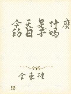 今天是什么特殊的日子吗