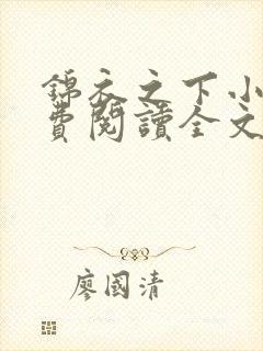 锦衣之下小说免费阅读全文无删减