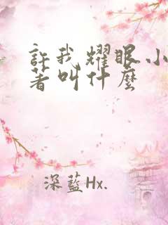 许我耀眼小说原著叫什么