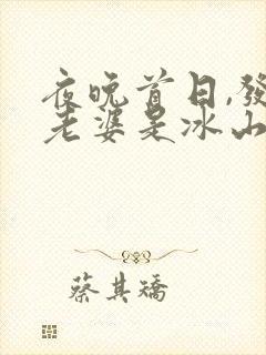 夜晚首日,发现老婆是冰山女总裁