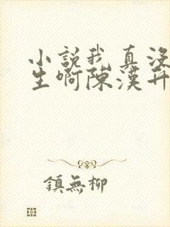 小说我真没想重生啊陈汉升