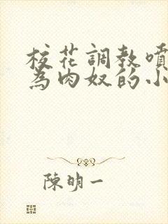 校花调教喷水沦为肉奴的小说