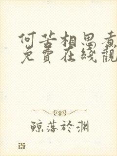 何苦相思煮余年免费在线观看