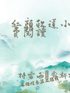 红颜政道小说免费阅读