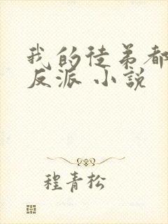 我的徒弟都是大反派 小说