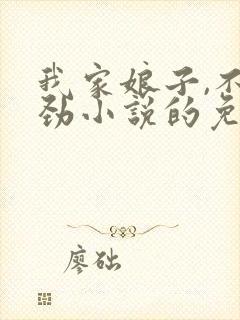 我家娘子,不对劲小说的免费阅读