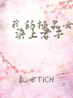 我的极品女上司 梁上君子