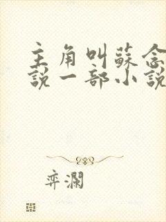 主角叫苏念的小说一部小说