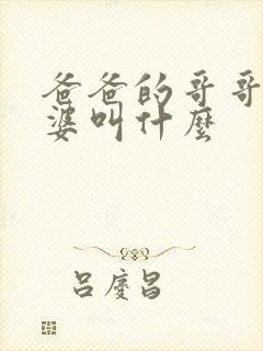 爸爸的哥哥的老婆叫什么