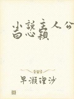 小说主人公李泽白心颖