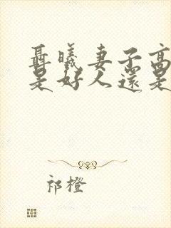 聂曦妻子高秀美是好人还是坏人