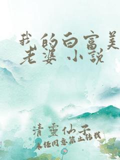 我的白富美总裁老婆 小说