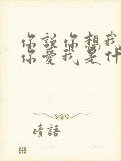 你说你想我你说你爱我是什么歌