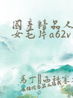 国产精品人妻熟女毛片a62v久久