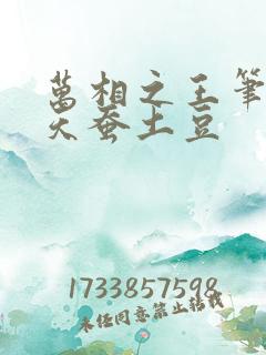 万相之王笔趣阁天蚕土豆