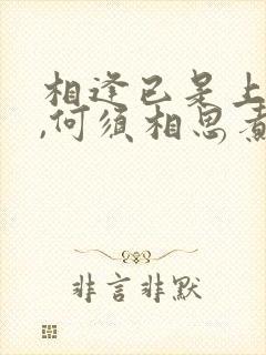 相逢已是上上签,何须相思煮余年出处