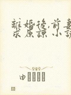 离婚后,前妻跪求原谅 小说
