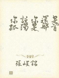 你说你还是喜欢孤独是哪首歌歌词