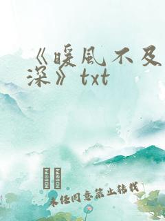 《暖风不及你情深》txt