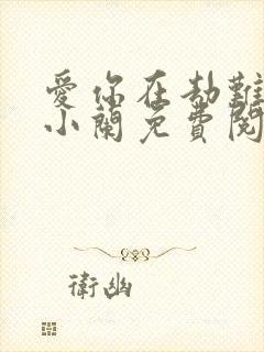 爱你在劫难逃林小兰免费阅读全文