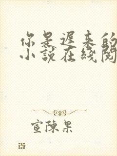 你是迟来的欢喜小说在线阅读