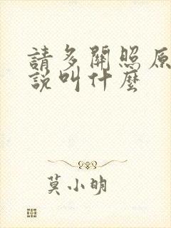请多关照原著小说叫什么