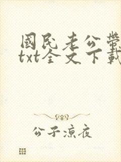 国民老公带回家txt全文下载