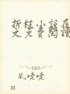 折枝小说在线全文免费阅读无弹窗