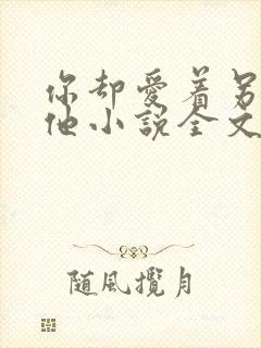 你却爱着另一个他小说全文免费阅读