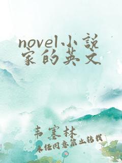 novel小说家的英文
