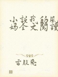 小说我的风流妈妈全文阅读