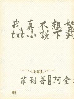 我真不想努力了txt小说下载