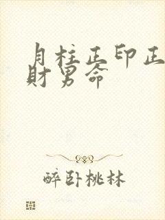 月柱正印正官正财男命