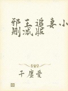 邪王追妻小说未删减版