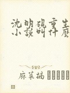 沈明砚重生原著小说叫什么名字