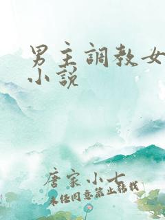 男主调教女主的小说