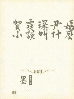 贺霆琛尹嫣原著小说叫什么名字