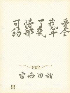 可惜了我爱着你的那几年全文小说