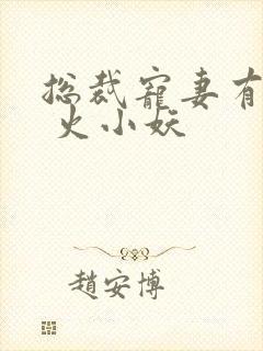 总裁宠妻有点甜 火小妖