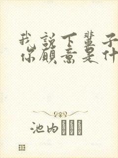 我说下辈子如果你愿意是什么歌