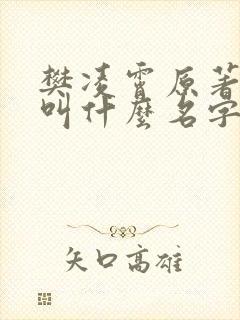 樊凌霄原著小说叫什么名字