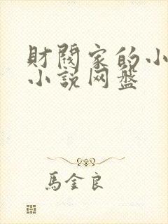 财阀家的小儿子小说网盘