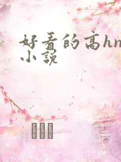 好看的高hnp小说