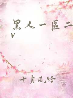 黑人一区二区av