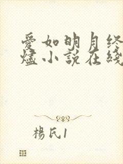 爱如明月终成灰烬小说在线阅读