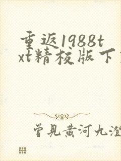 重返1988txt精校版下载