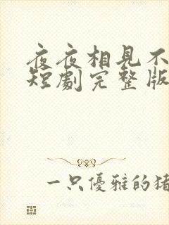 夜夜相见不识君短剧完整版免费网站